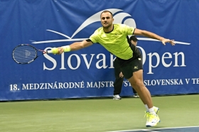 Marius Copil